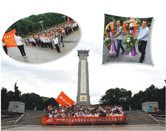 �人AG�콢��ҩҵ2017��ɫ��������Ӫ�˶�