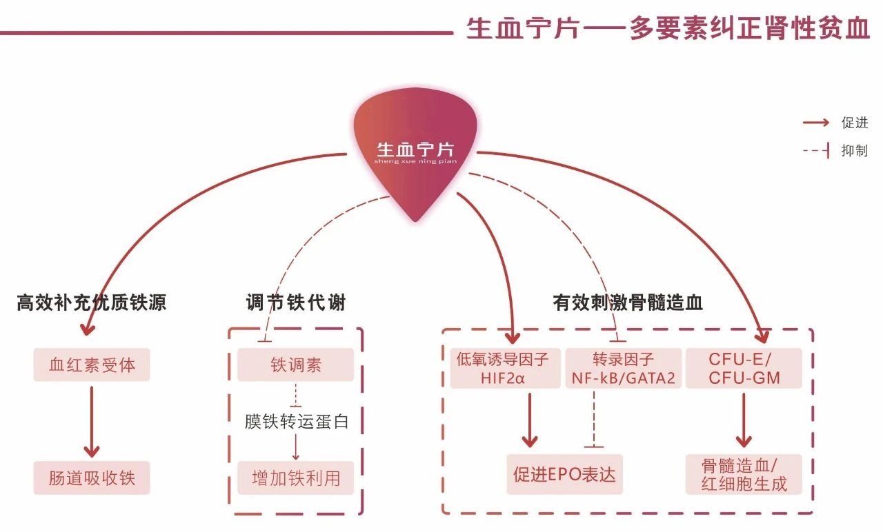 AG�콢�� (�й���½) Apple Store