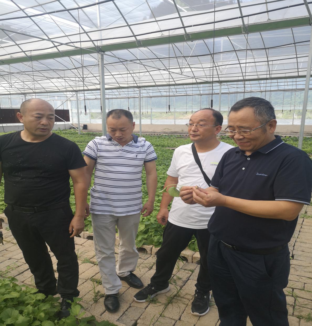 AG�콢�� (�й���½) Apple Store